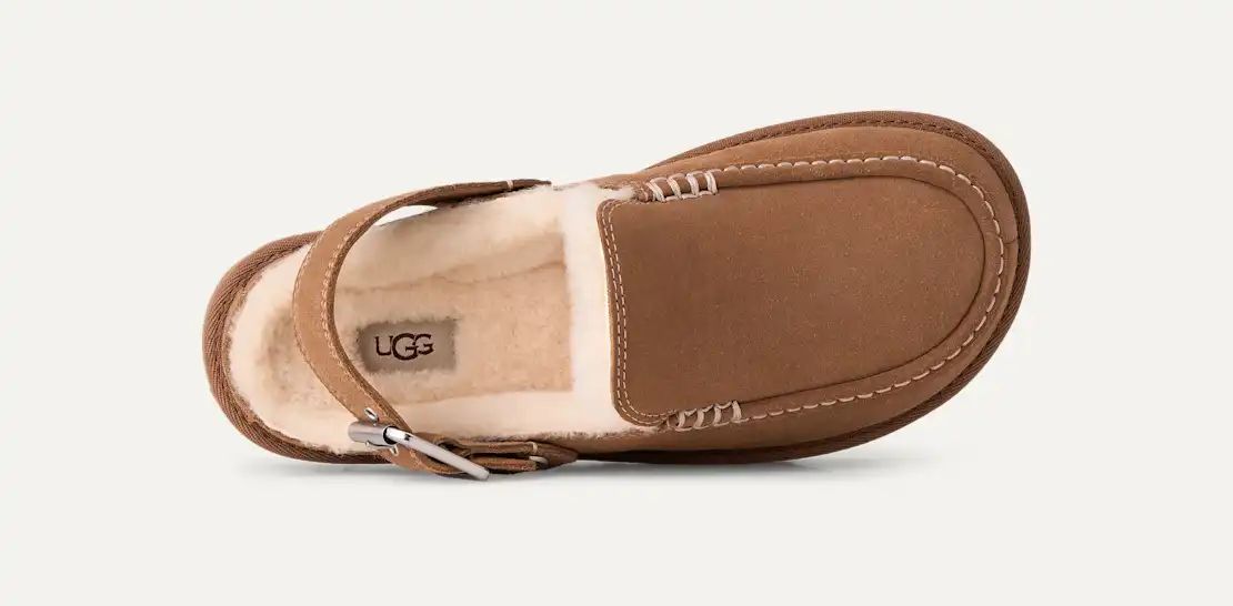 Goldenstar Evelina Clog - Ugg
